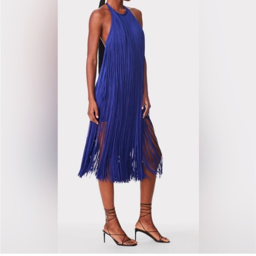 Herve Leger Purple Fringe Dress
